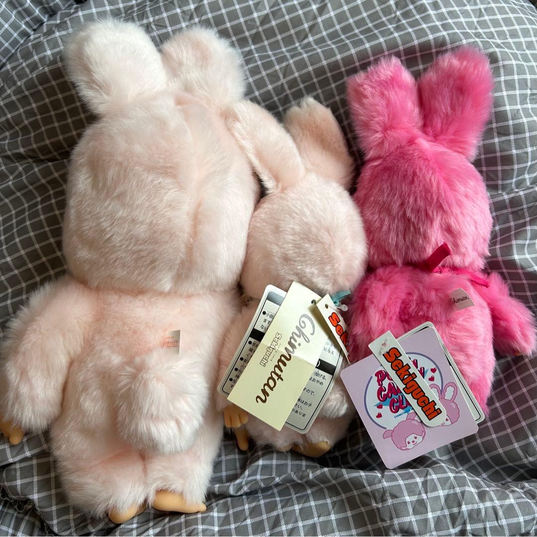 チムたんMサイズ 、Sサイズ POP'N CANDY CLUBチムたんSサイズ - メルカリ