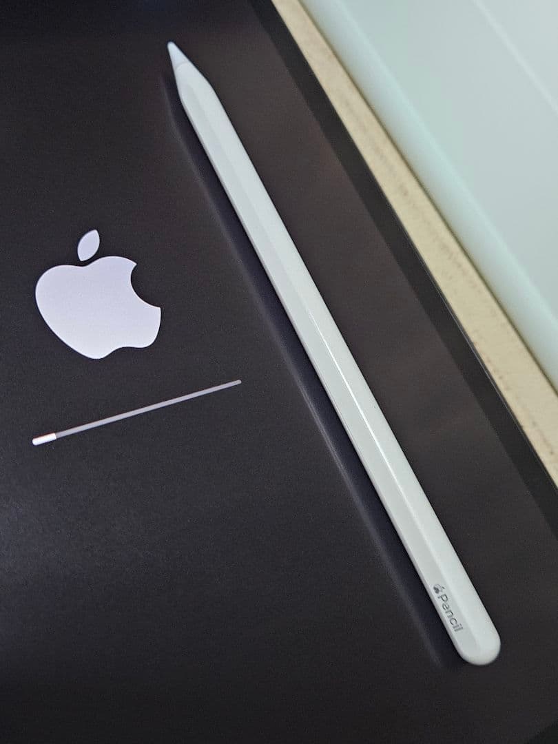 iPad pro 11 第3世代 M1 256gb Pencil ケース付き