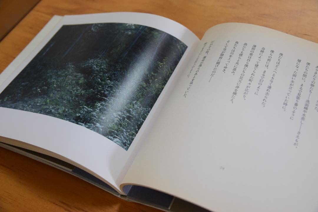 アルセーニイ・タルコフスキー詩集 『白い、白い日』