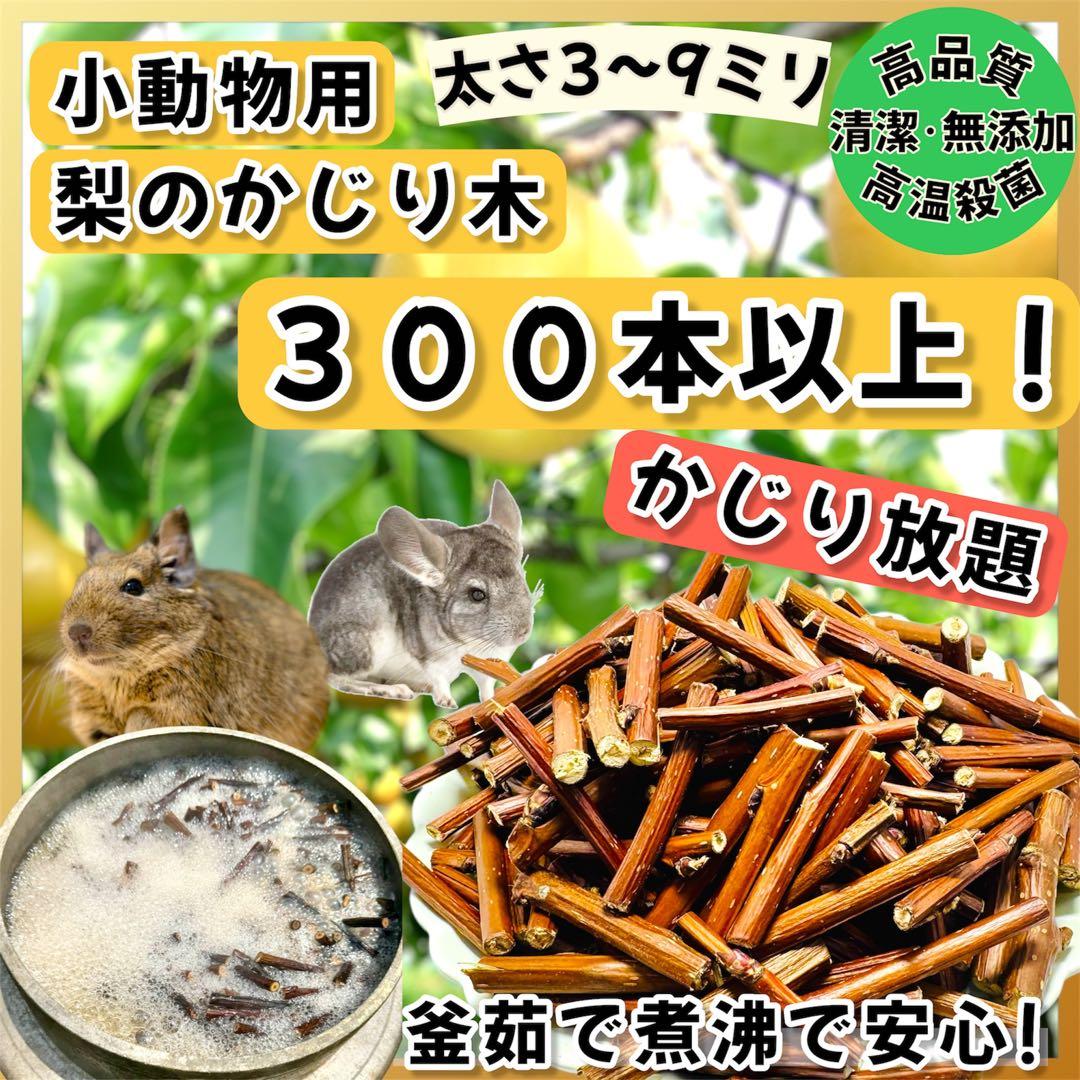 かじり放題】国産無農薬なしのかじり木！300本以上【コスパ最強