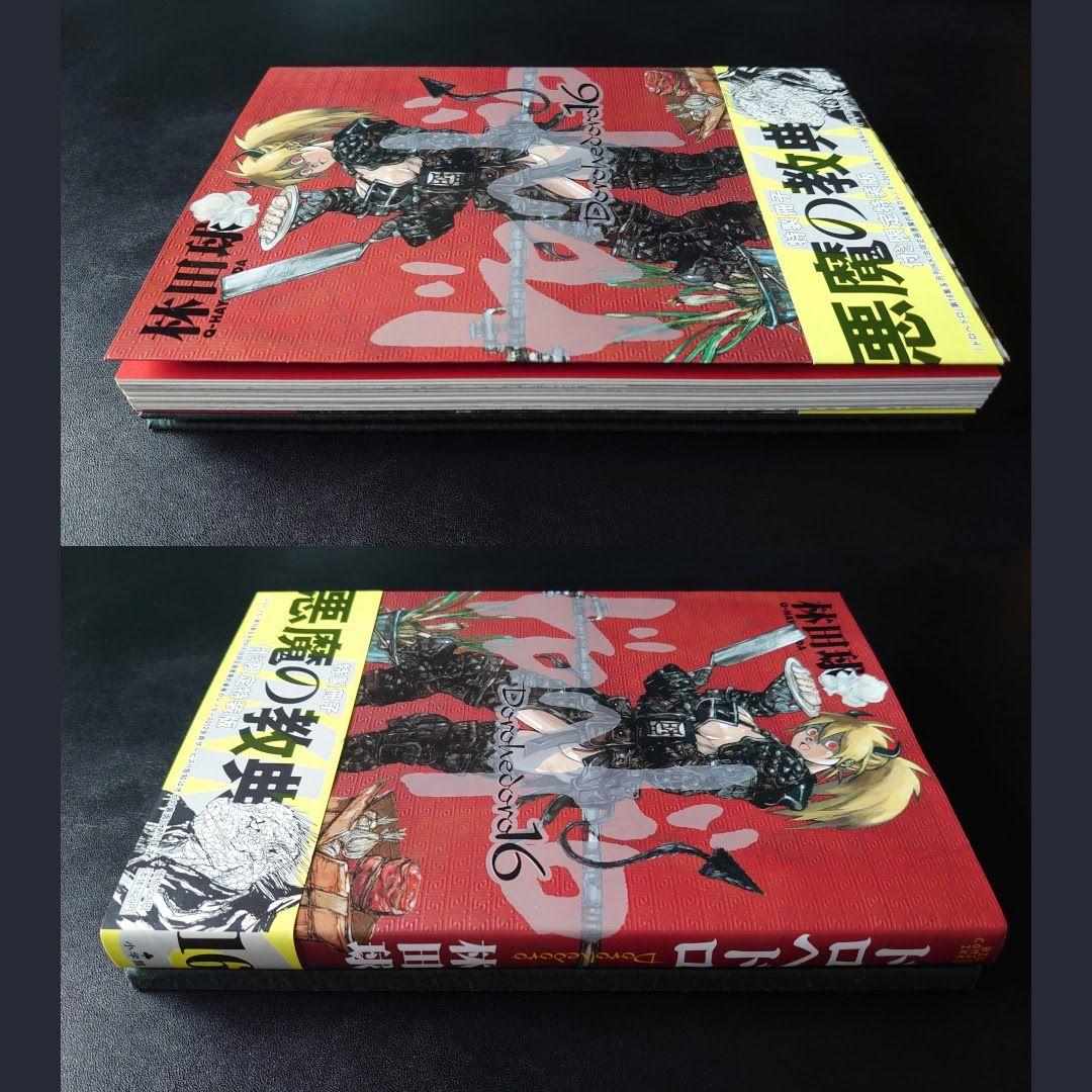 ドロヘドロ 16巻 特製冊子「悪魔の教典」付き 限定特装版 林田球