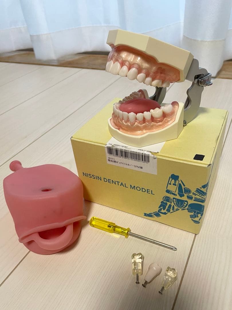 NISSIN DENTAL MODEL 顎模型 頬粘膜 舌付 - メルカリ