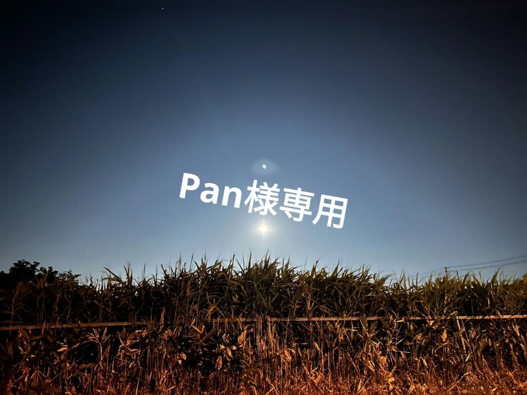 絵画 Pan Amazon.co.jp: Leonardo Da Vincレオナルド・ダ・ヴィンチ絵画作品