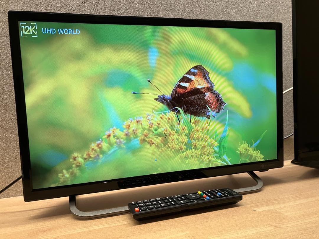 2020年製録画可！ELSONIC 24型500GB内蔵テレビ超極美品!