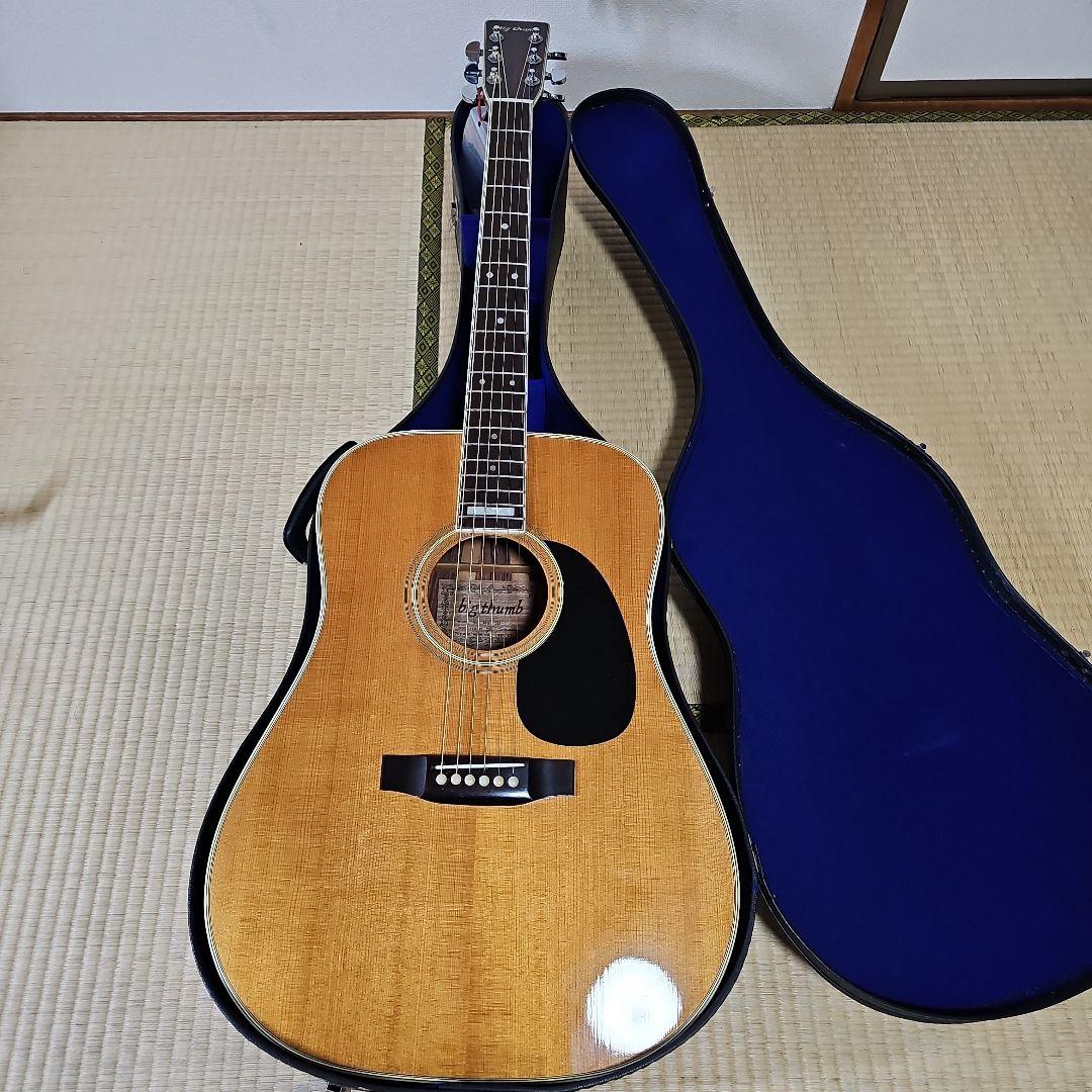 寺田楽器THUMB.MW-300ハードケース付き