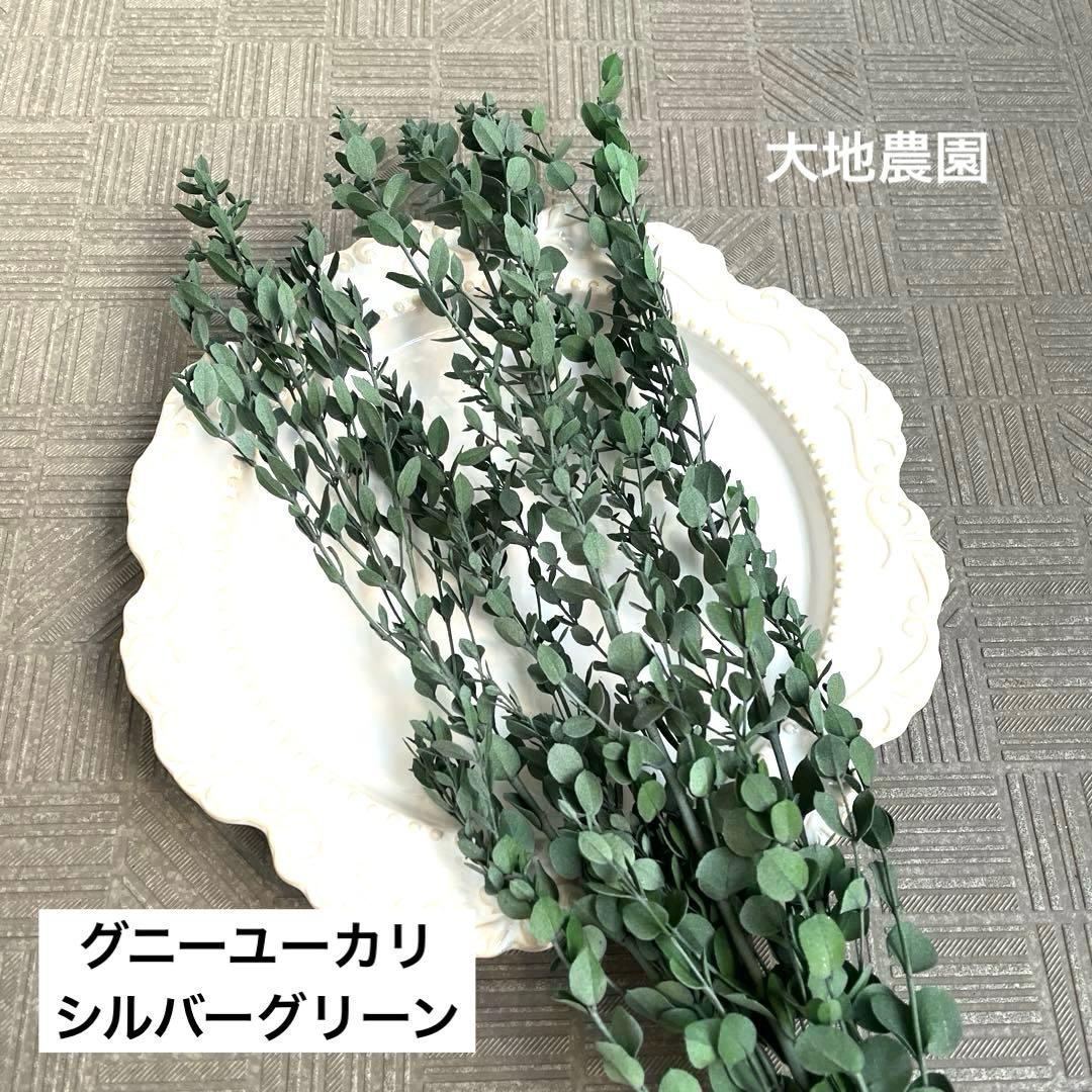 nicoさま専用（完全乾燥真菰葉）