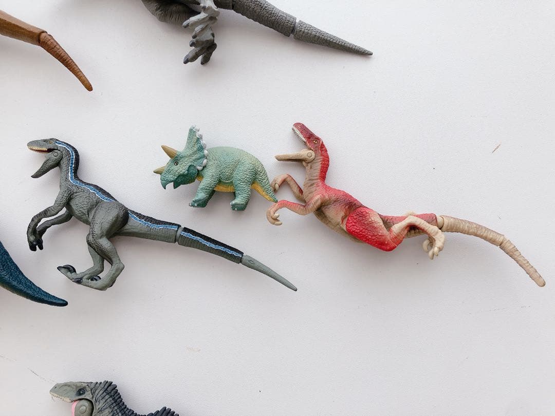 C. アニア 恐竜 バラ売り まとめ売り 動物 水族館 組合せ自由