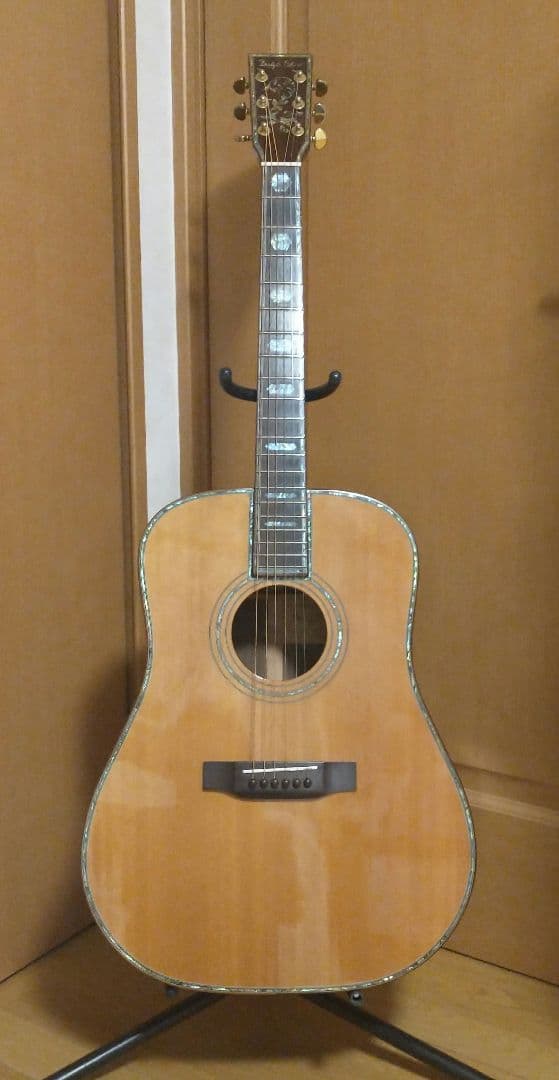 専用 幻の希少ギター バグスギア Bugs Gear DR50-UL - メルカリ