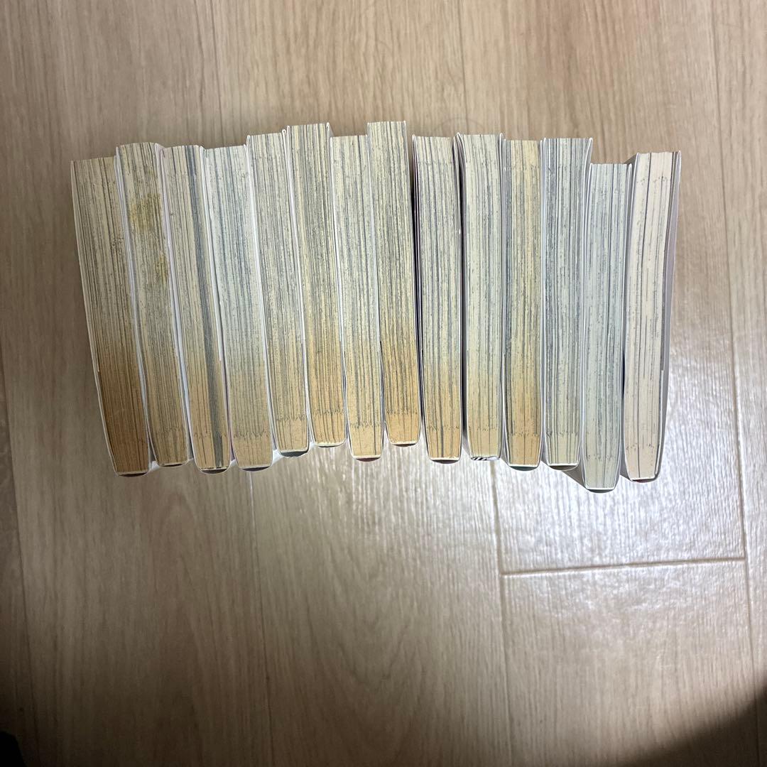 付き合ってあげてもいいかな　全14巻