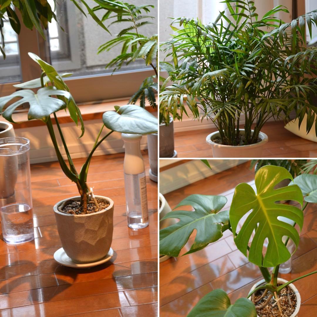 TAMRON 18-270mm F3.5-6.3 ニコン用 望遠レンズ