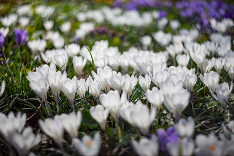 68　いとう7014　アダプターなしです。