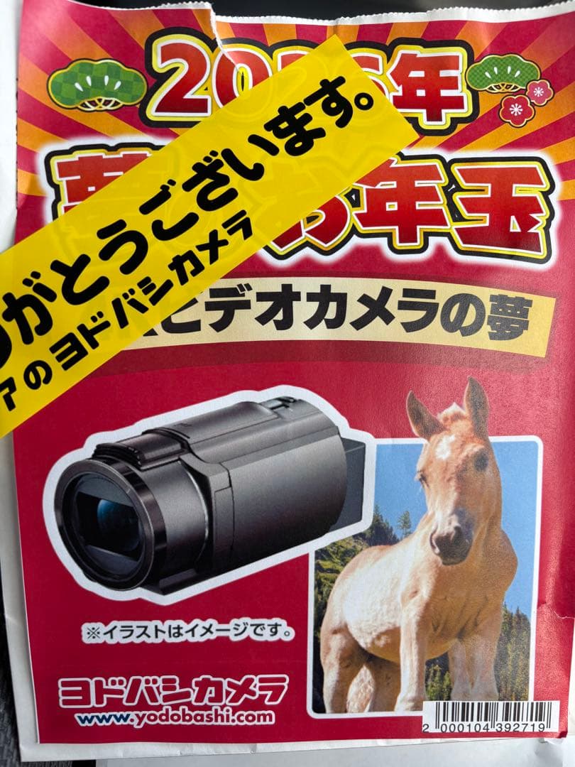 ヨドバシ　夢の箱福袋夢 ‼️Sony ソニー Handycam FDR-AX45Ａ 新品 4Kビデオカメラの夢 Sony ソニー FDR-AX45 ヨドバシ福袋 - メルカリ