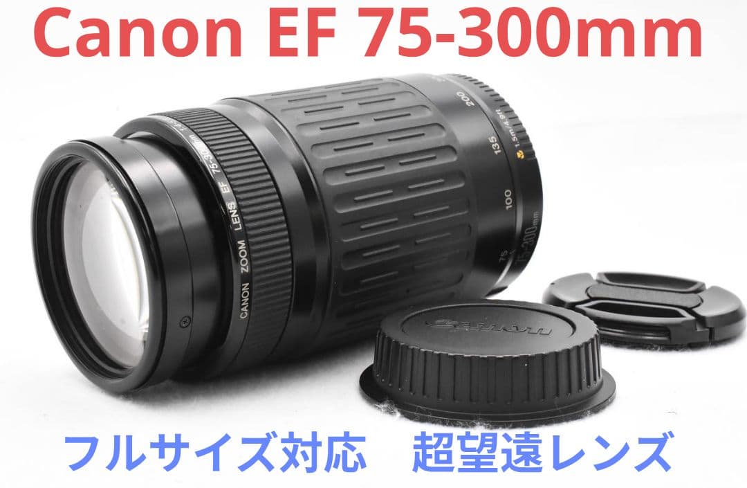 2月25日限定特価✨【超望遠レンズ】Canon EF 75-300mm - メルカリ