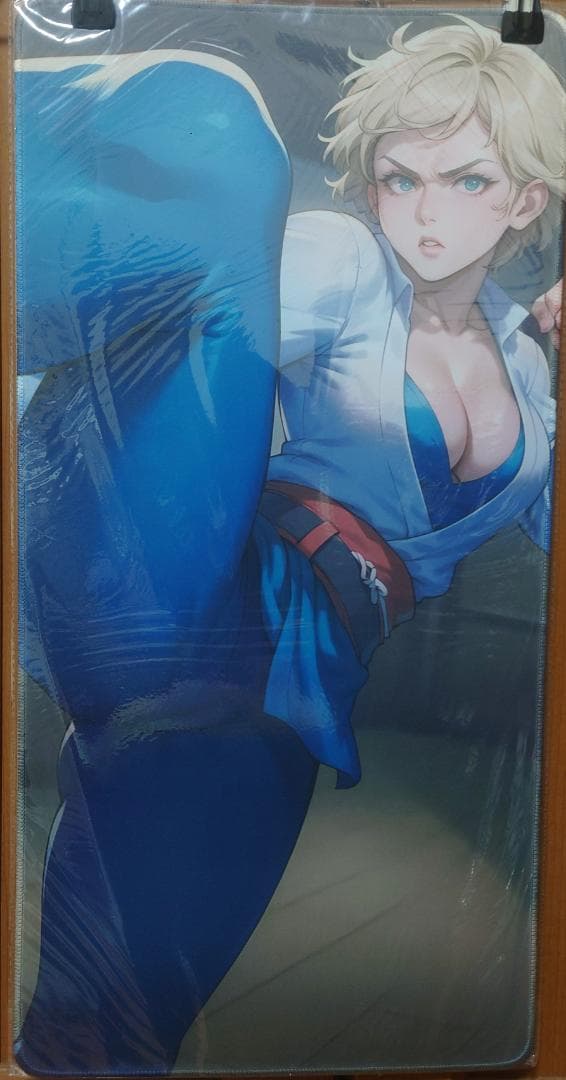 バイオハザード　ジル　美少女　プレイマット　ラバーマット 第41弾 ブシロード ラバーマットコレクションV2 Vol.206～215