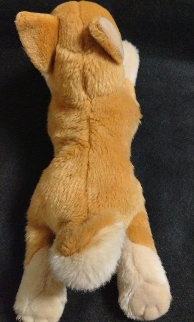 REGALO レガロ リアルドッグコレクション 柴犬 ぬいぐるみ - メルカリ