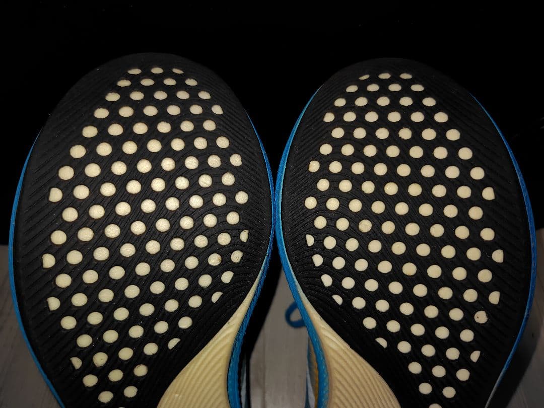 ASICS メタスピードスカイ 27.5cm