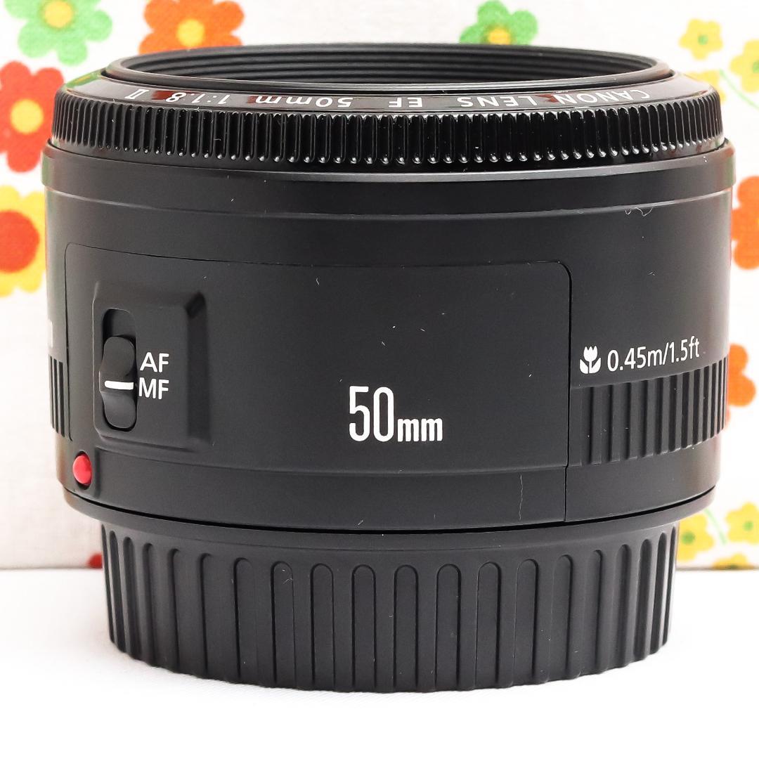 キャノン Canon EF 50mm F1.8 Ⅱ☆単焦点レンズ☆神レンズ - メルカリ
