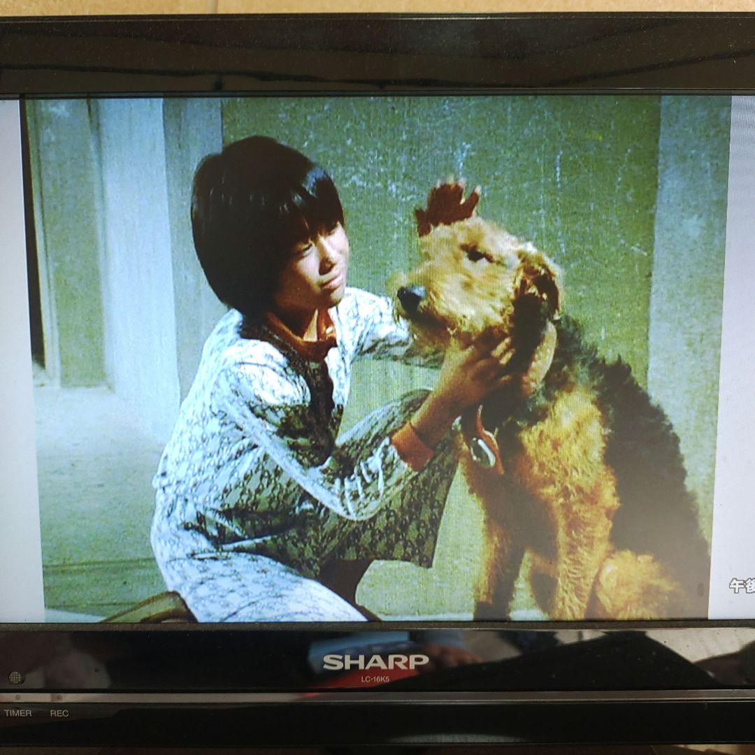 【良品】ふしぎ犬トントン HDリマスター DVD-BOX 全巻　全話