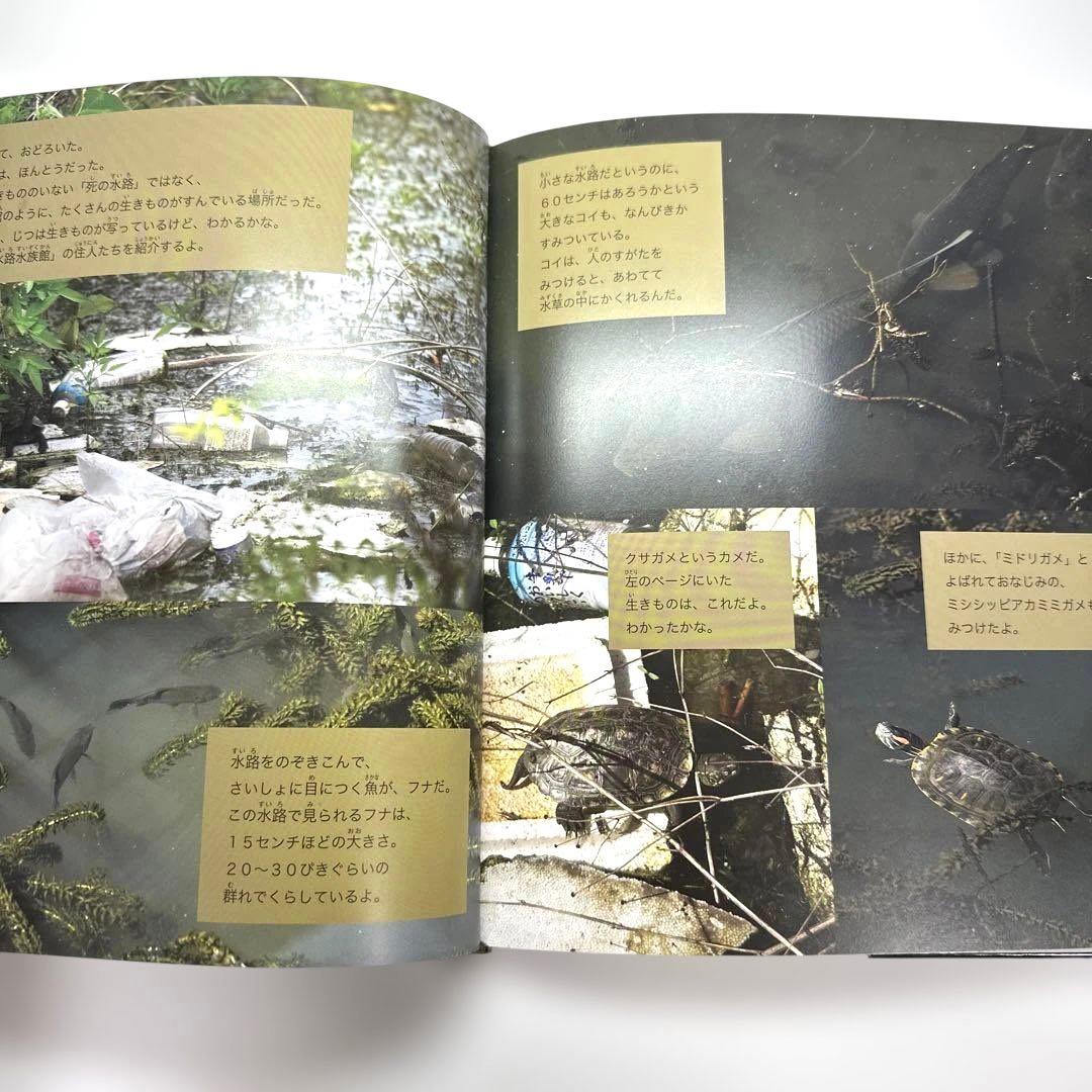 【2点購入150円引】ごみ水路水族館　武田晋一　ボコヤマクリタ