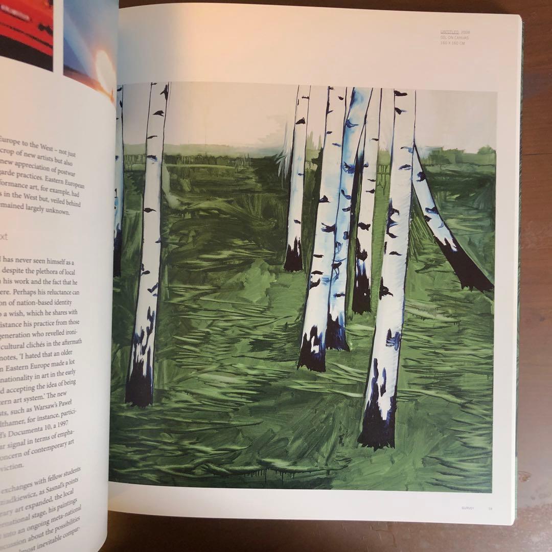 WILHELM SASNAL PHAIDON ヴィルヘルム・サスナル (洋書) - メルカリ