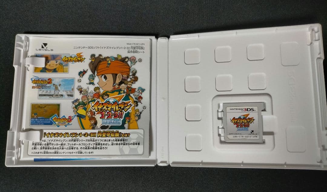 イナズマイレブン1・2・3!! 堂守伝説