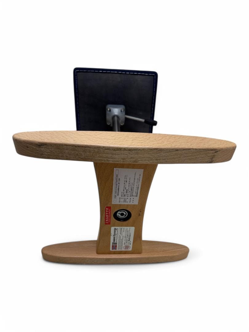 腰痛対策椅子】バランスシナジー スクエア型 ネイビー サカモトハウス