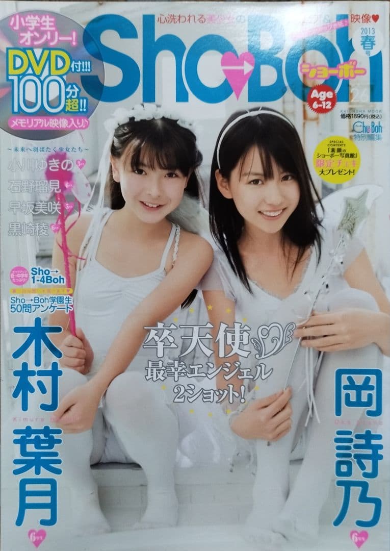 Sho Boh vol.26 水着特集 DVD付き - メルカリ