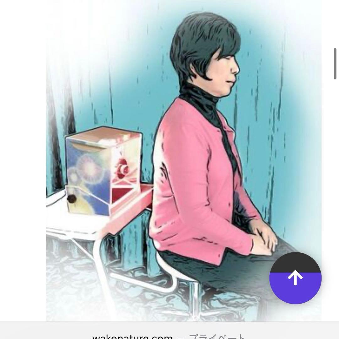 脳ヒーラー 脳ヒーリングボックス ワコ・ネイチャーヒーリング 安田