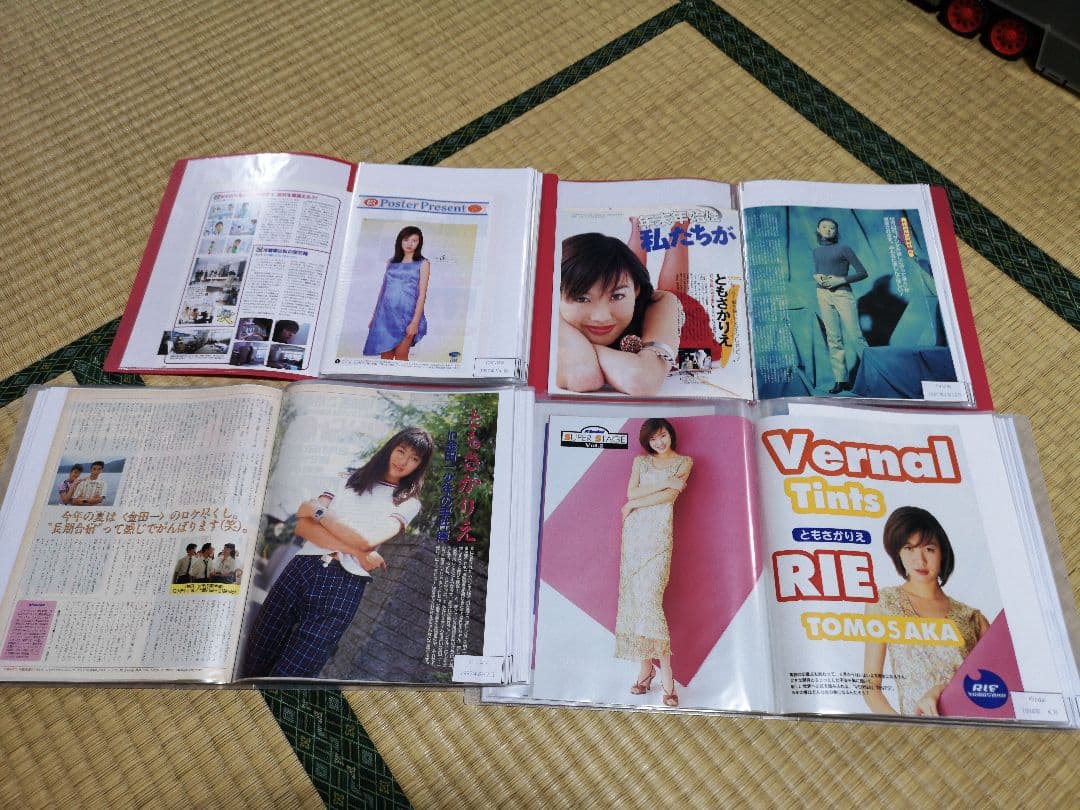 ともさかりえ(1冊200円計算)81冊分209ページ切り抜きしファイリング済み