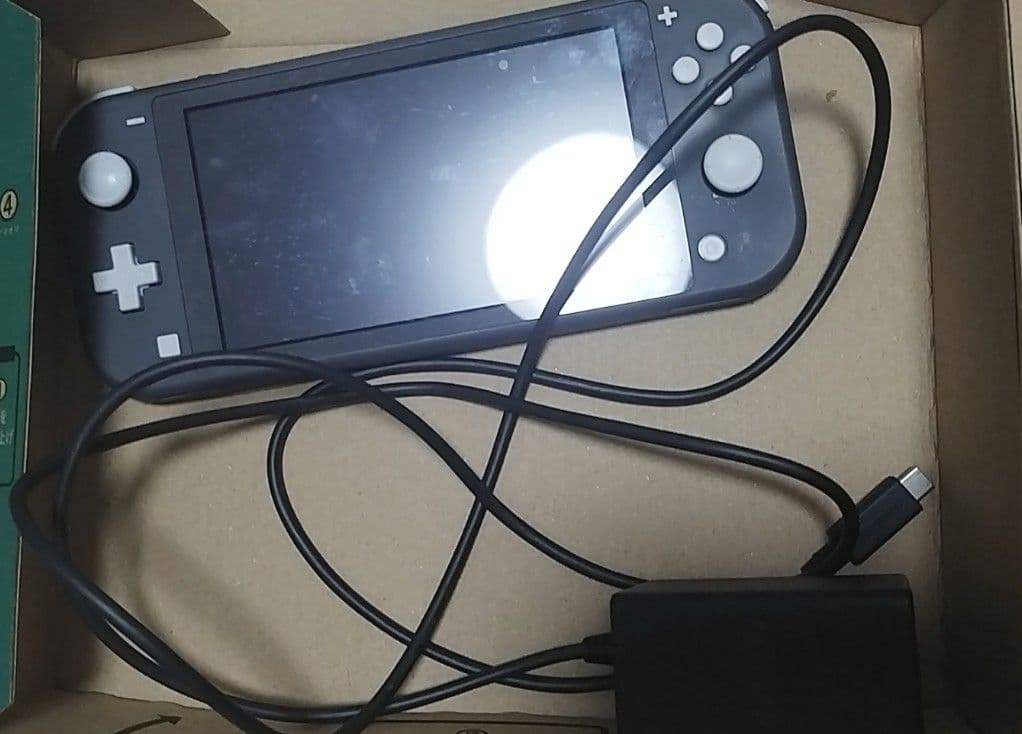 9月5日までの受付。スイッチライト　マイクラカセット　充電器付き Amazon.co.jp: Nintendo Switch Lite グレー+Minecraft (マイン