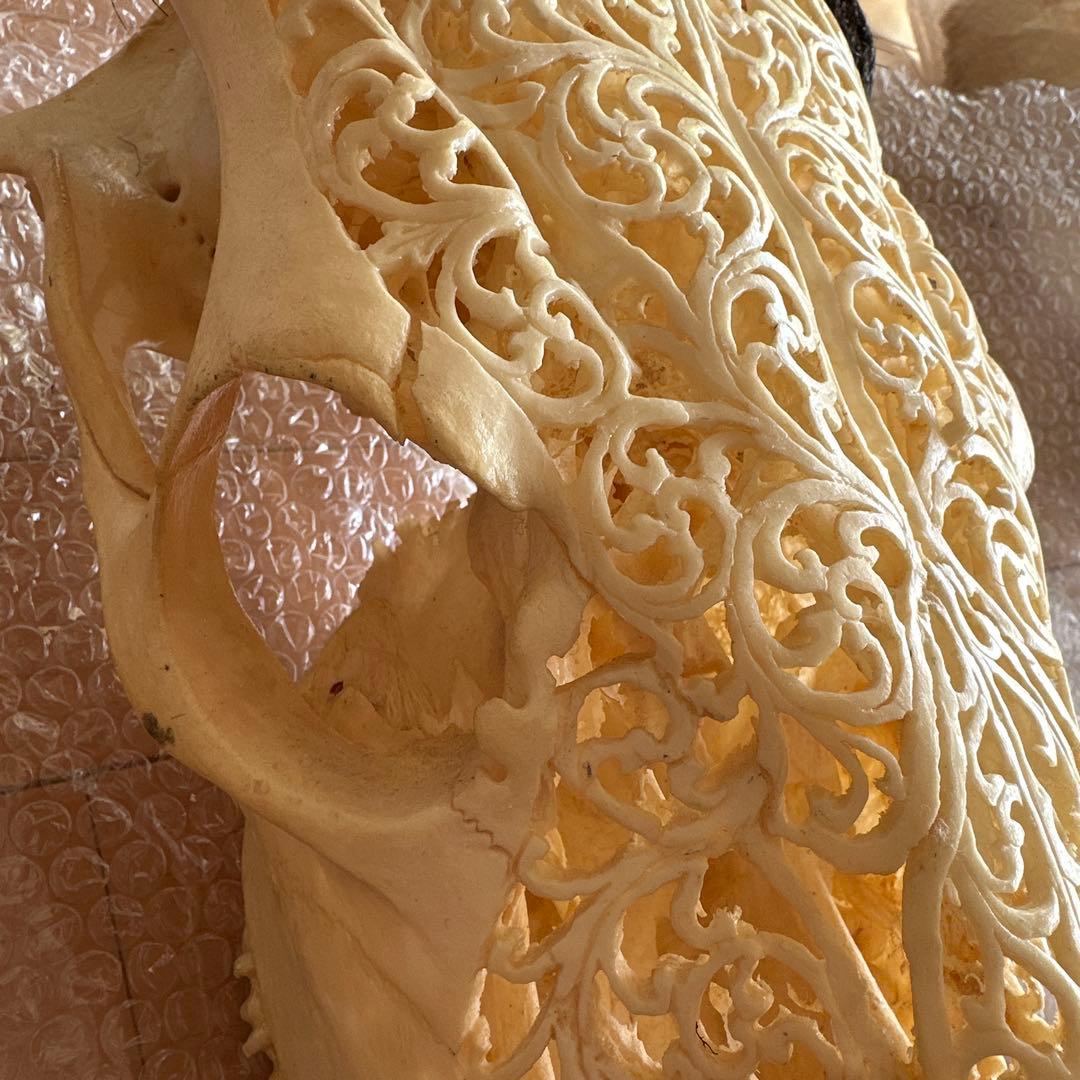 値下げしました！バッファロースカル 牛頭蓋骨 壁掛け彫像 カウボーイ