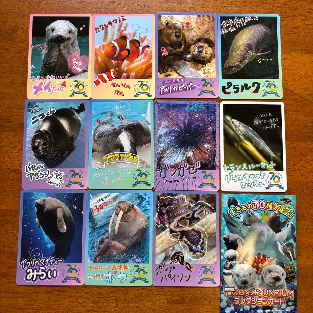 鳥羽水族館 コレクションカード メイ 他合計11枚 - メルカリ