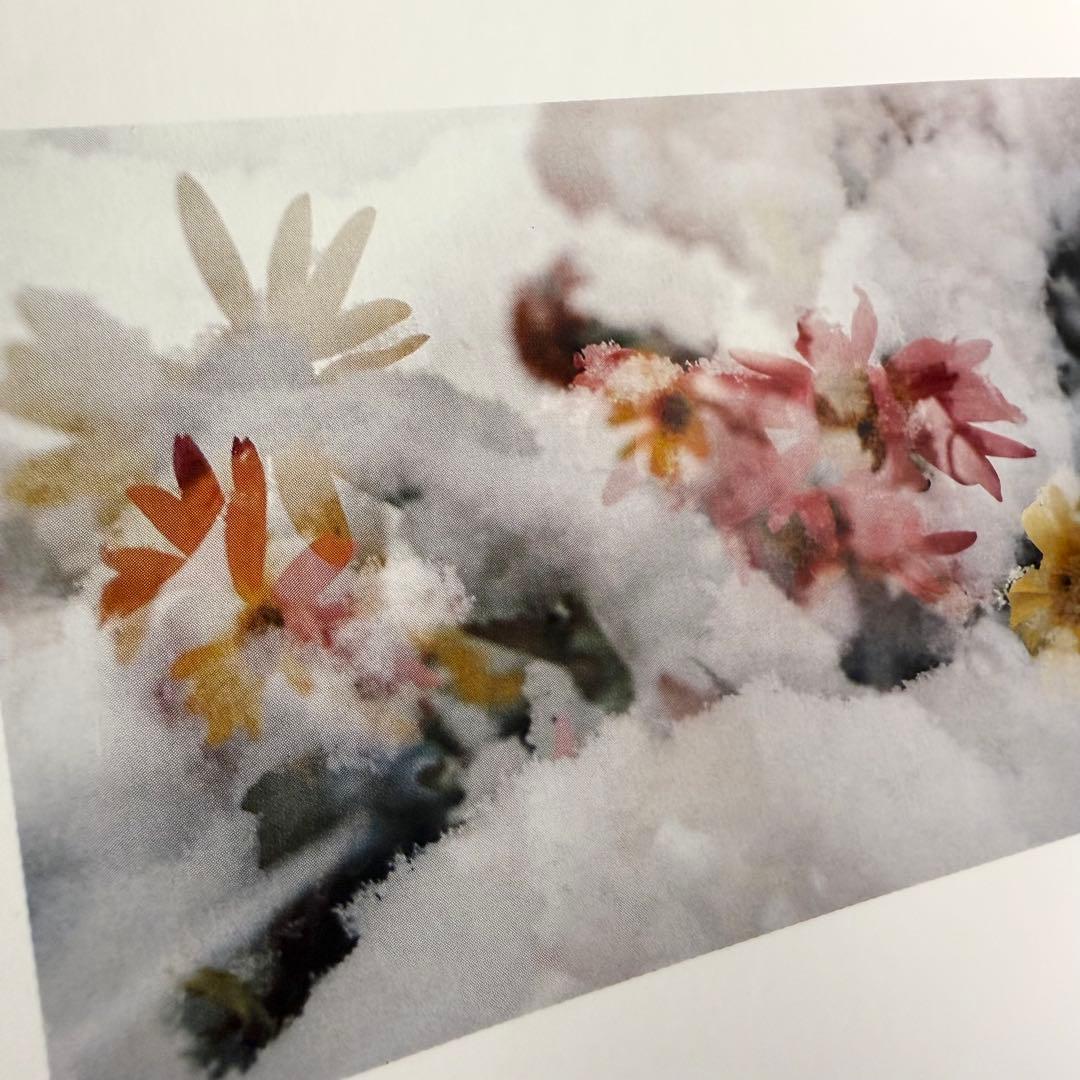 1998年発行800部限定ペーター・フィッシュリ/ダヴィッド・ヴァイス