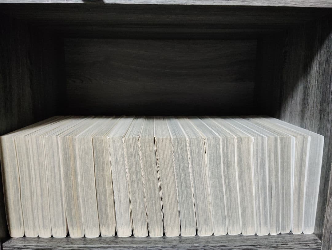 ベルセルク 1〜42巻 美品 全巻セット 即発送 ヤングアニマル 白泉社