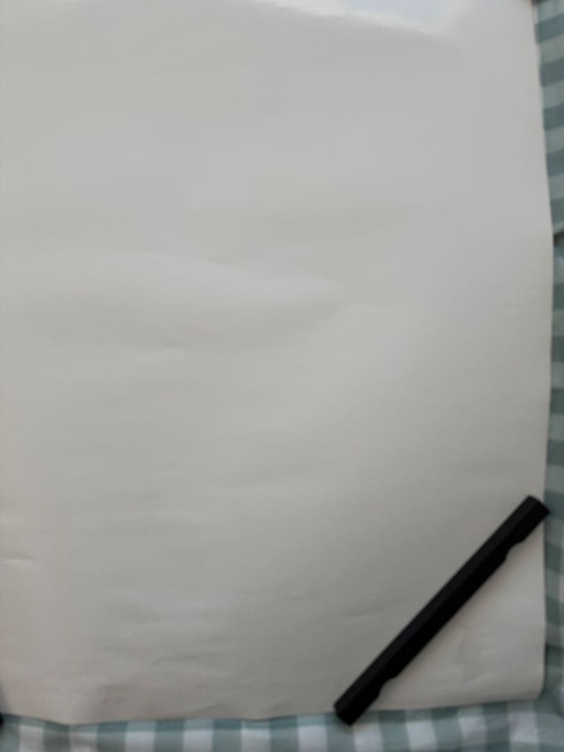 The Biscats 2023年ツアー 非売品 B2 ポスター - メルカリ