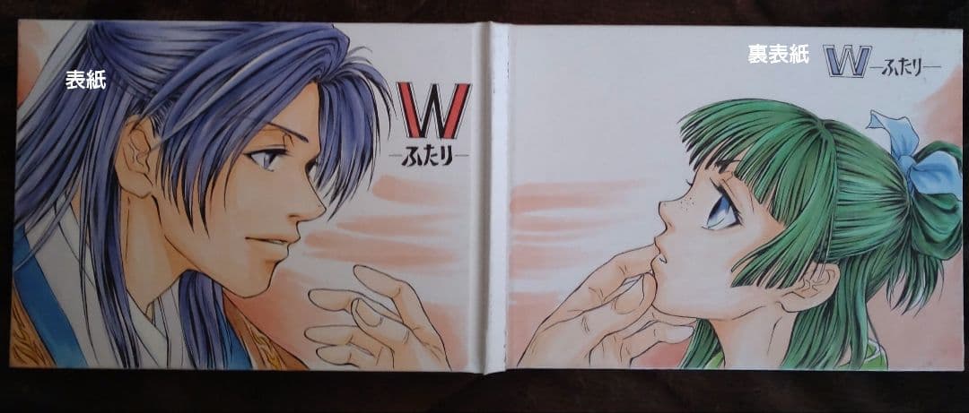 【けい】手描きイラスト集　『W』~ふたり~