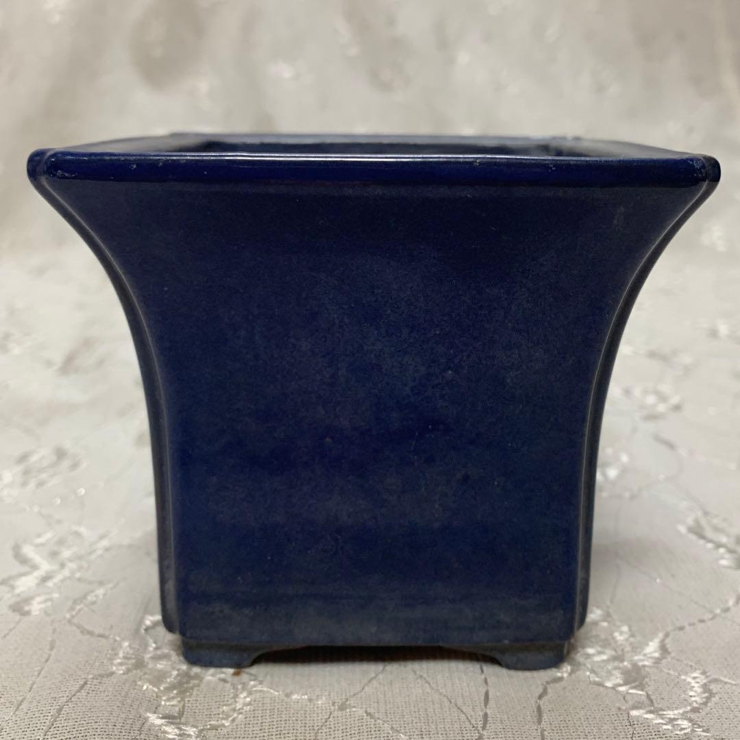 盆栽鉢　青　正方　落款有り 楽天市場】盆栽鉢 「紀伊染付山水図楕円鉢」 植木鉢 絵付鉢 作家鉢