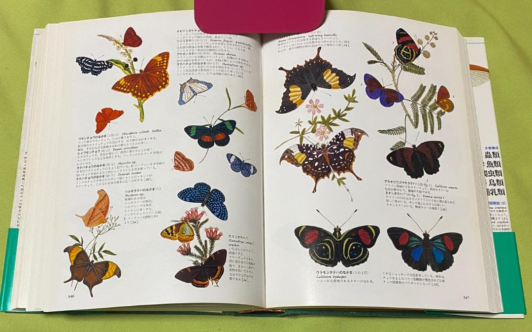 世界大博物図鑑 全5巻 荒俣宏 平凡社 - メルカリ