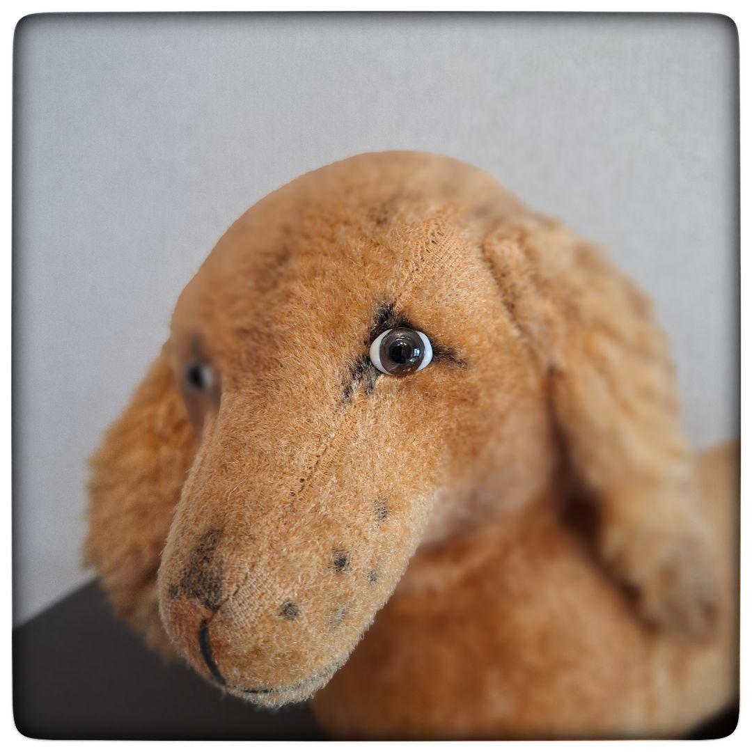 戦前 ドイツ】 ダックスフント アンティーク ぬいぐるみ 貴重 グラス