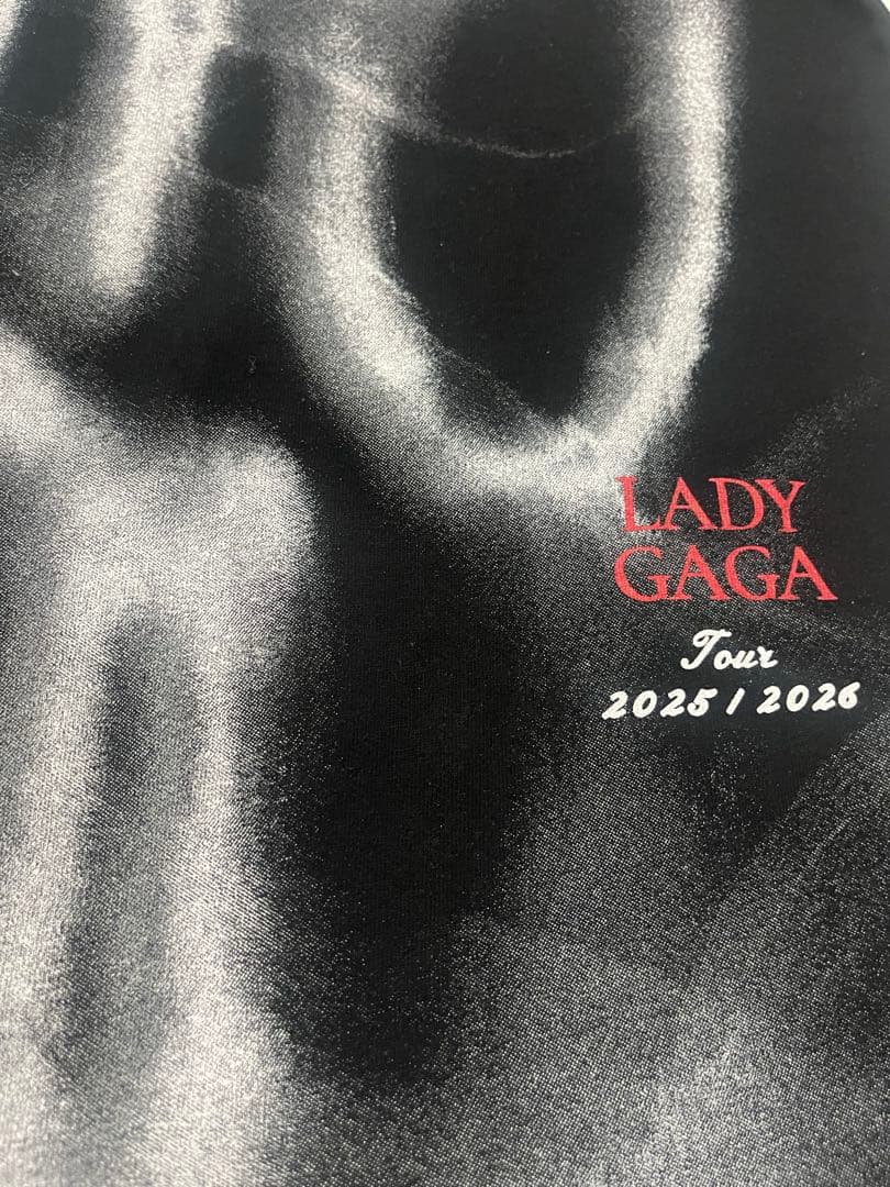 VANISH DATEBACK LADY GAGA Sサイズ レディーガガ - メルカリ