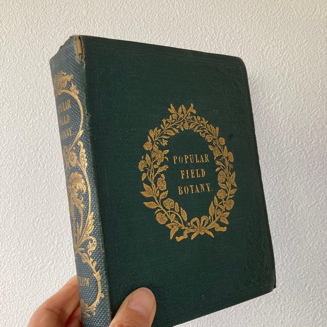 L833洋書古書 【1852年発行】大変希少なイギリスのアンティーク植物