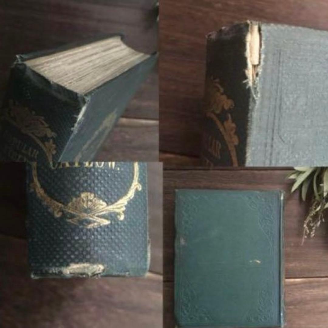 L833洋書古書 【1852年発行】大変希少なイギリスのアンティーク植物