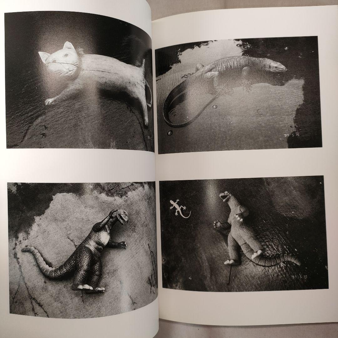 荒木経惟 写真全集 1~20巻セット (5巻抜け) - メルカリ