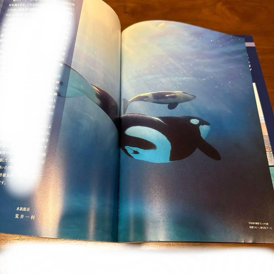 希少】開園40周年記念 鴨川シーワールドのなかまたち シャチ オルカ