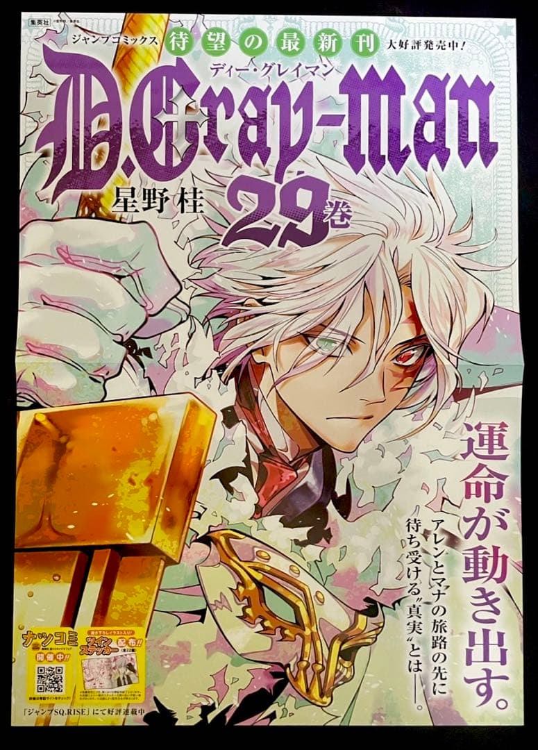 D.Gray-man ディー・グレイマン 29巻 B3 ポスター - メルカリ