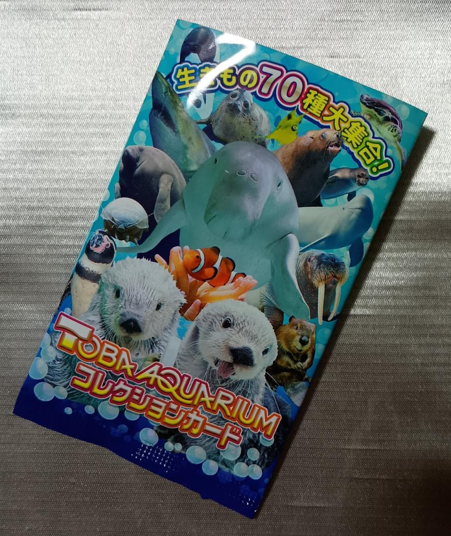 鳥羽水族館 コレクションカード ラッコ メイちゃん - メルカリ
