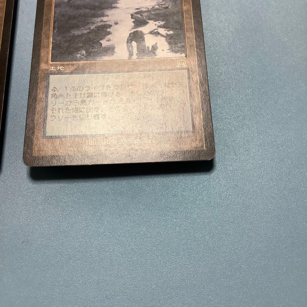 バラ売り可* 汚染された三角州 ONS日本語2枚セット - メルカリ