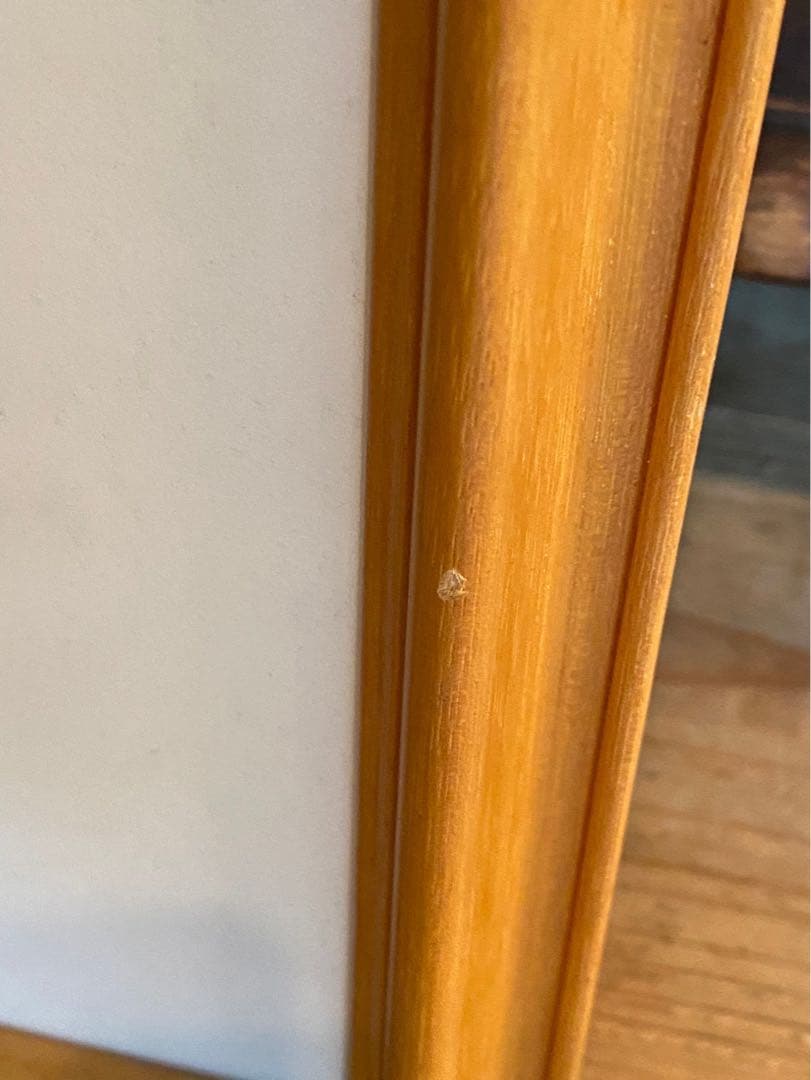 野菜果物様専用＊ジャン•ジャンセン ひまわり 額縁 大判 リトポスター