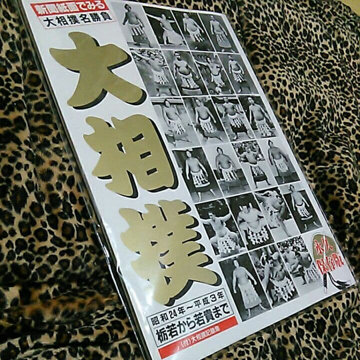 大相撲名勝負永久保存版冊子当時物栃若～若乃花貴乃花 91imtbDOeuL._AC_UF350,