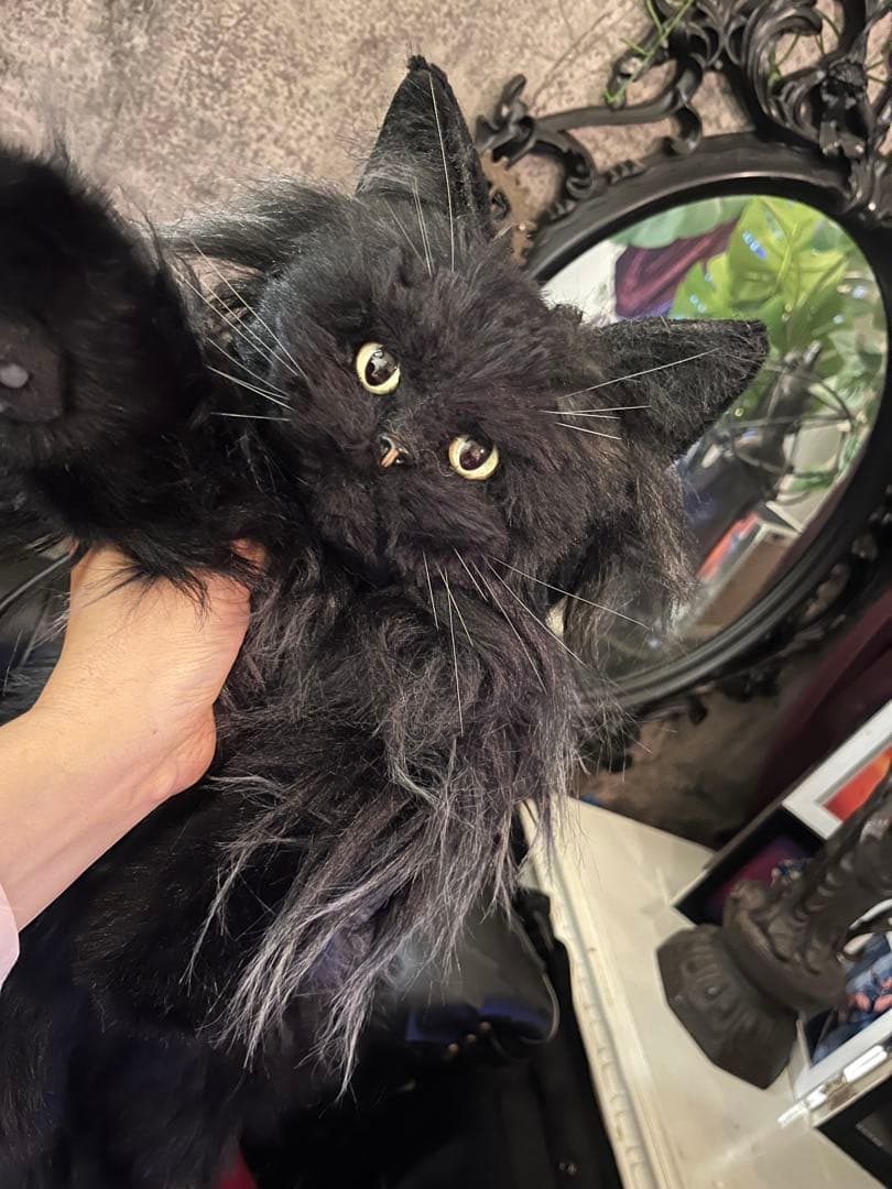 黒猫 ぬいぐるみ 等身大 リュック - メルカリ